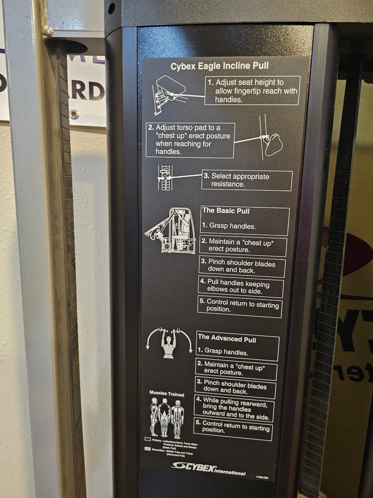 Cybex Eagle Incline Pull