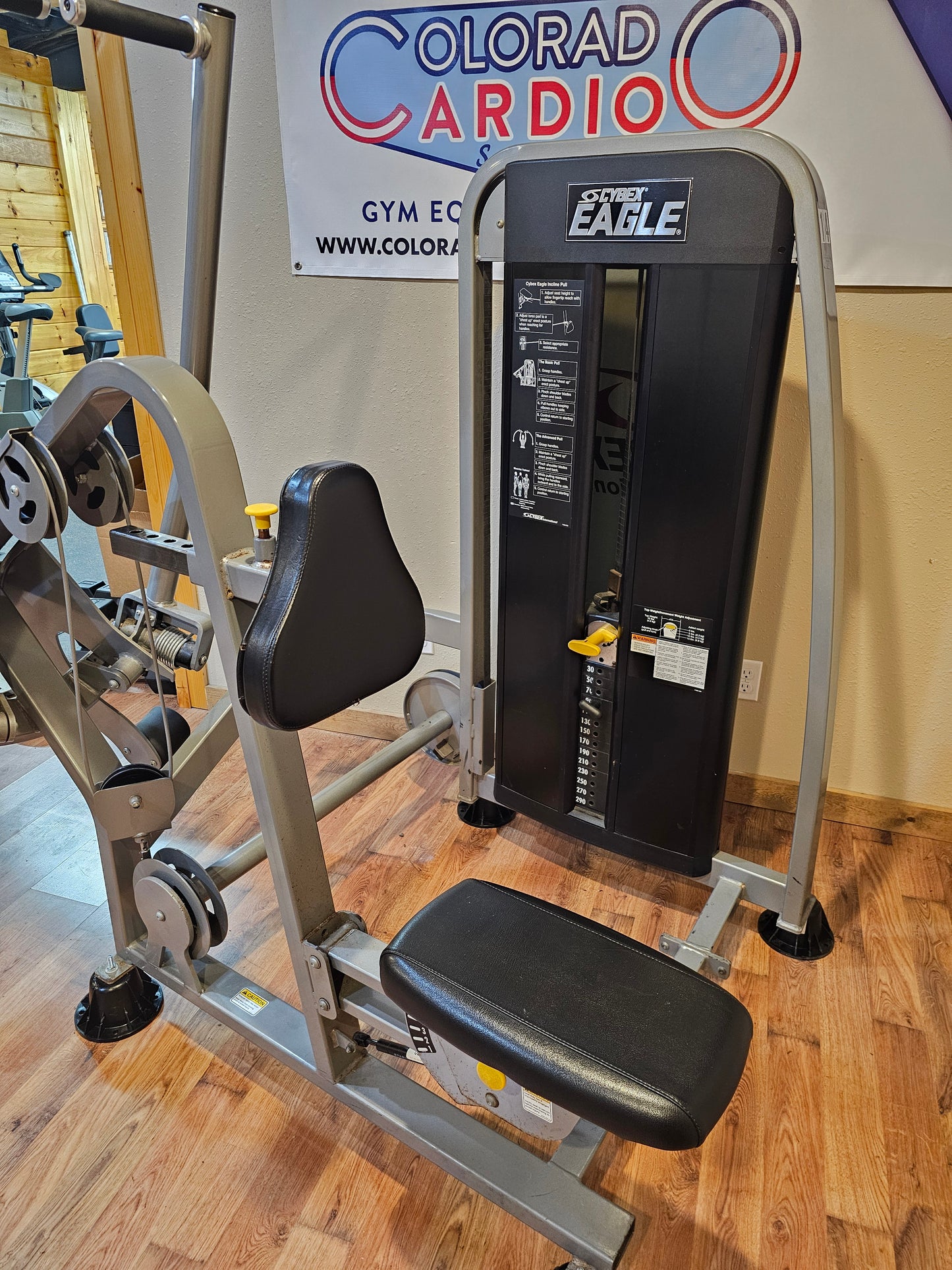 Cybex Eagle Incline Pull