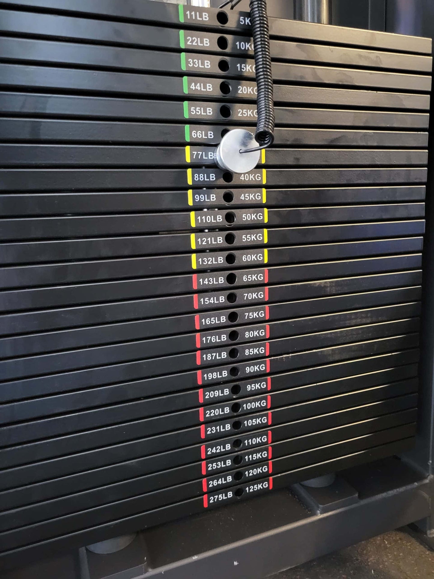 Dynamic Pulldown & Low Row