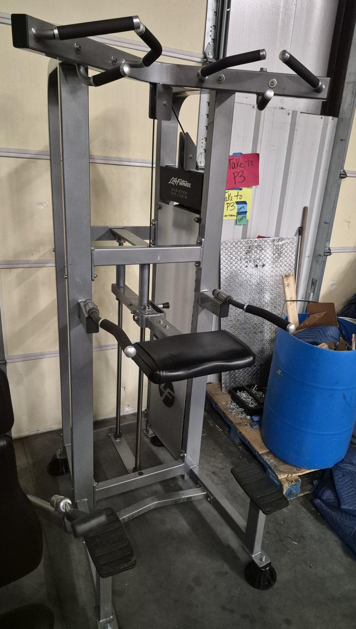 Life Fitness Chin Dip Assist