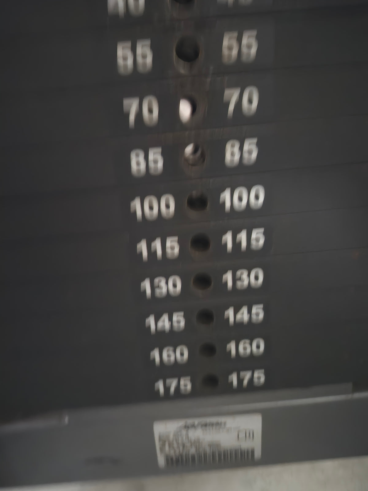 Life Fitness Chin Dip Assist