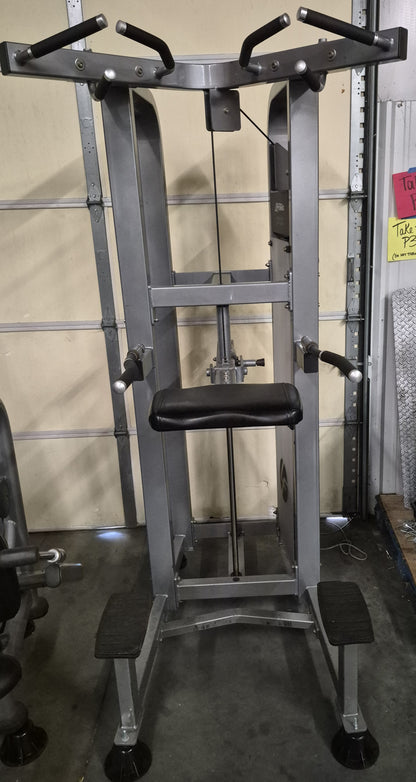 Life Fitness Chin Dip Assist